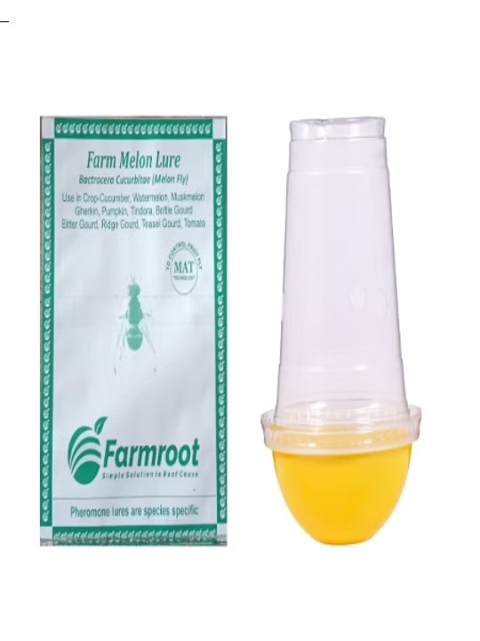 melon lure with fly trap