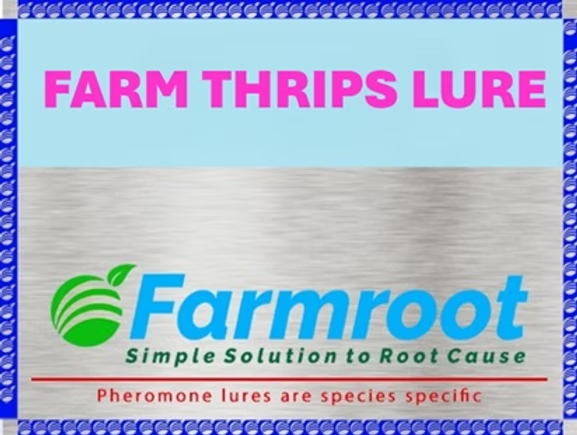 FARM THRIPS LURE