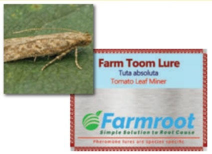 Farm Toom Lure