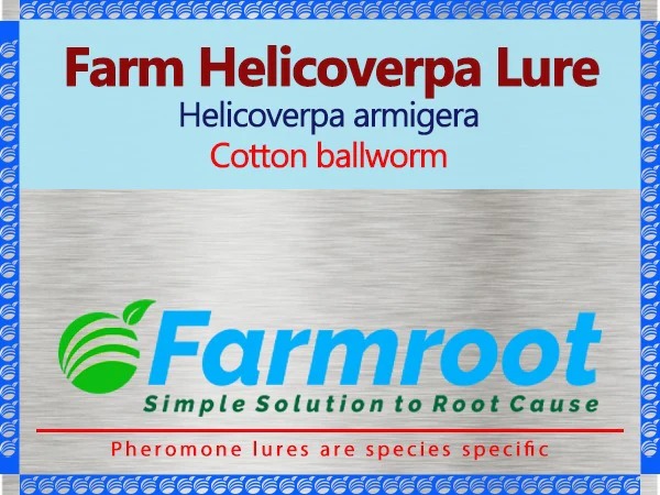 Farm Helico Lure