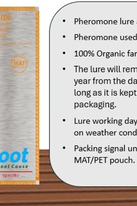 Fruit fly trap and lure