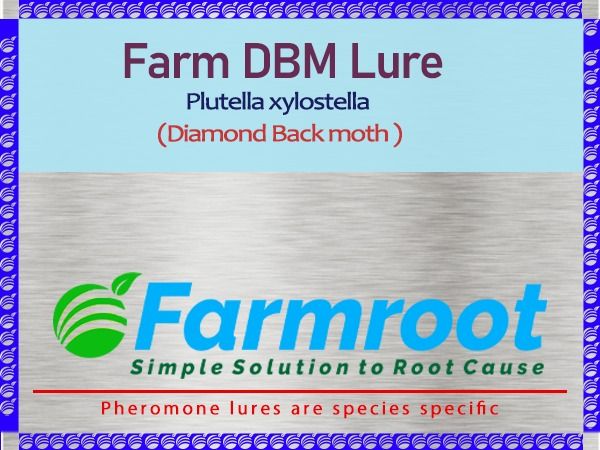 FARM DBM(DIOMOND BLACK MOTH) LURE