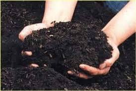 Composting Reimagined