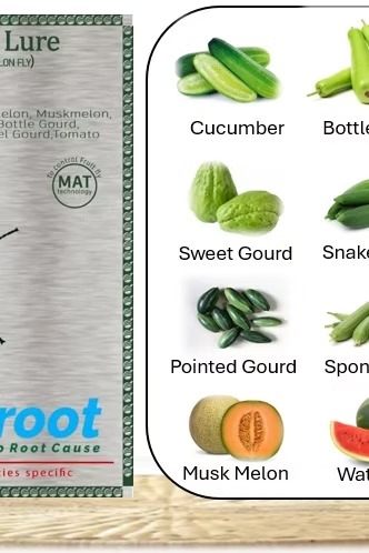 FARM MELON LURE WITH MINI LOCK