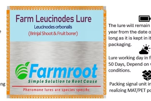 Farm Leucinode (Brinjal)Lure