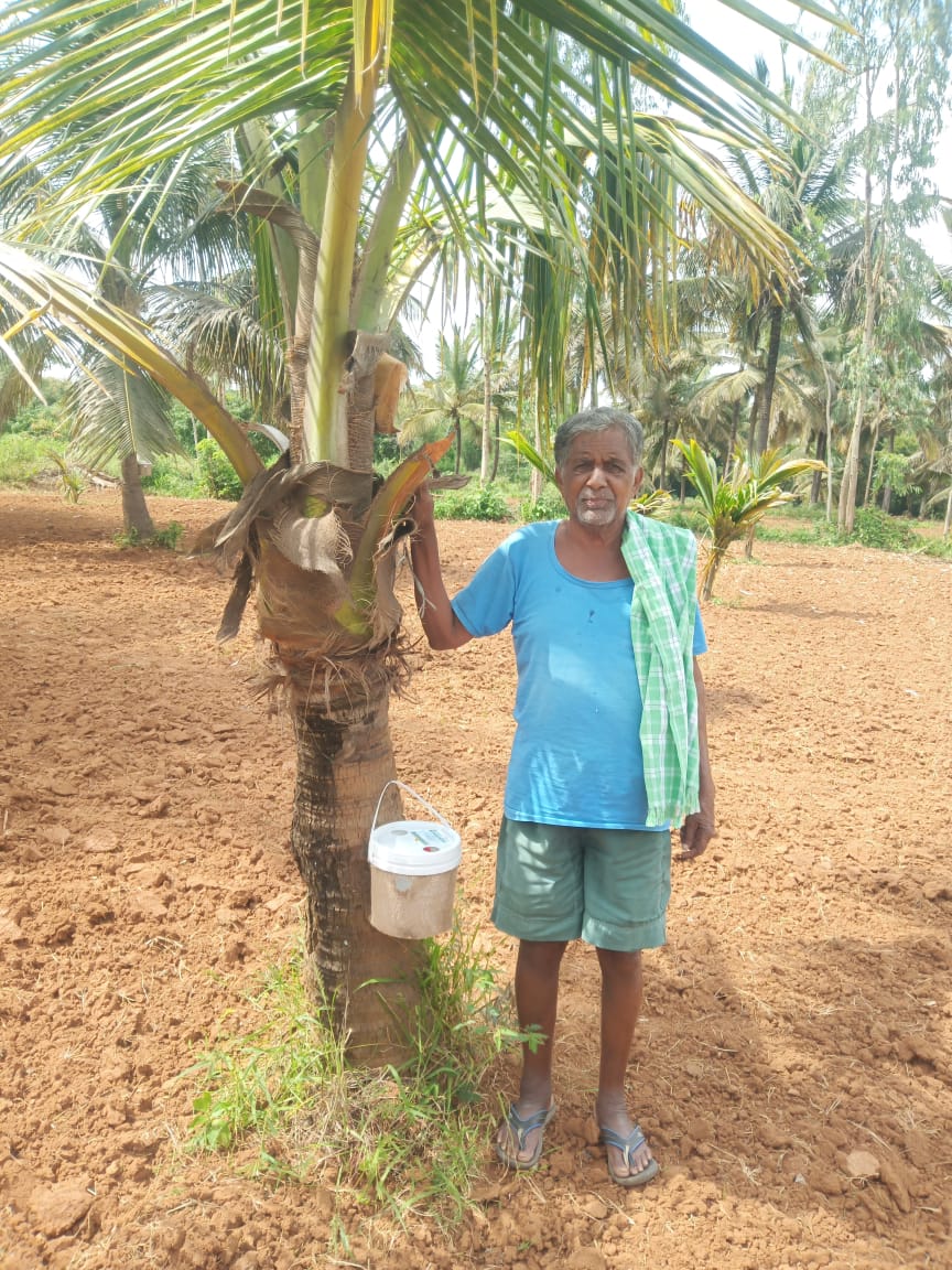 Farm RPW(Red palm weevil) Lure