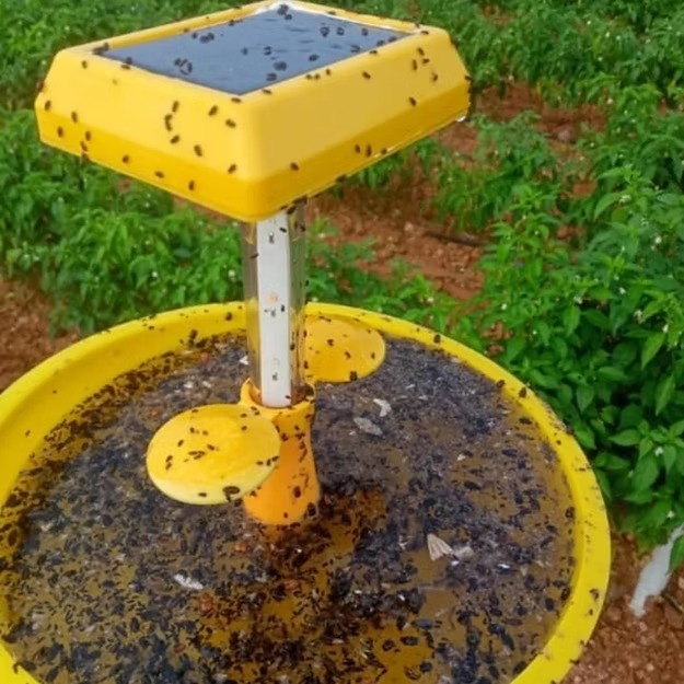 Farm Mini Solar Trap