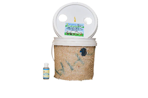 FARM RPW LURE + BucketTrap